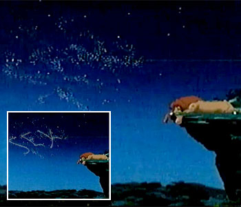 ������ ������� �S.�.X� � ���� ��� 